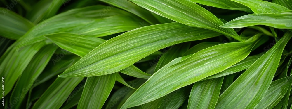A tight shot of a verdant plant, brimming with numerous leaves above and below A tight shot of a verdant plant, brimming with numerous leaves above and below
