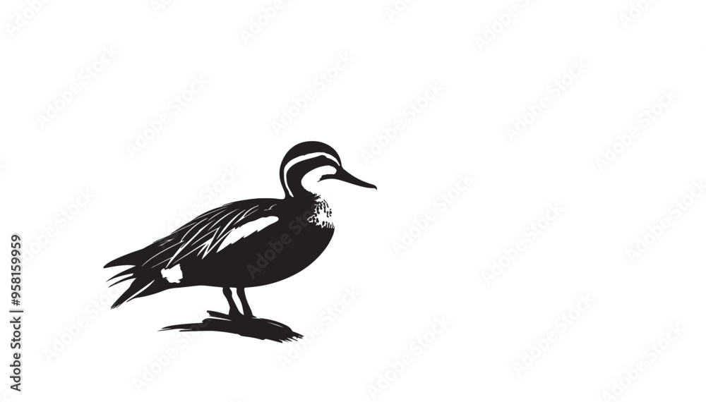 Duck vector art and illustration Duck vector art and illustration