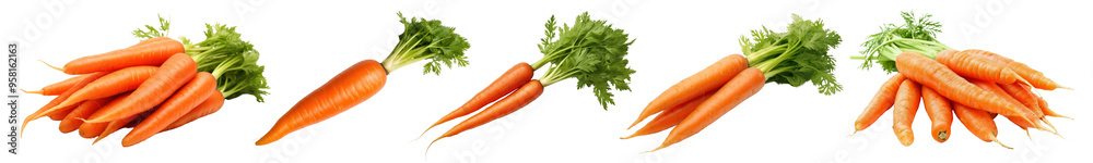 carrot vegetable png cut out element set carrot vegetable png cut out element set