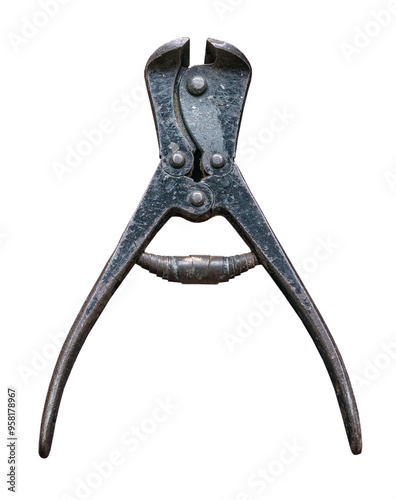 old forceps on white, isolated photo