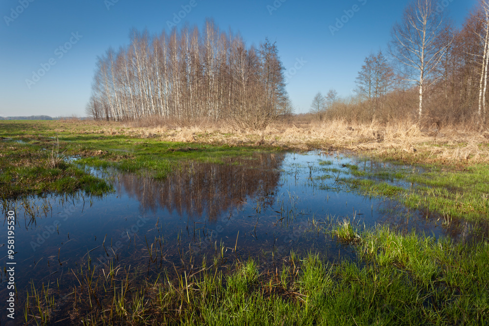 Water in the meadow and trees on the horizon, March day, eastern Poland Water in the meadow and trees on the horizon, March day, eastern Poland