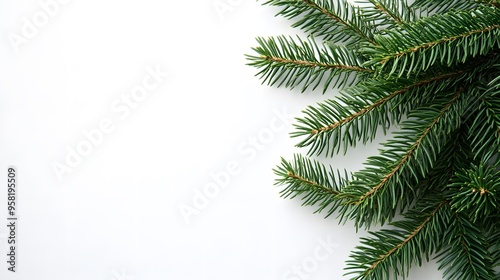 Minimalist Green Branches on White Background: Simple green Christmas tree branches against a clean white background, ideal for a modern holiday design.