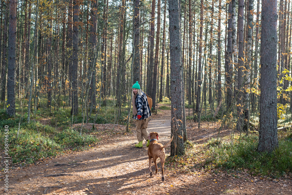 Energetic female pet sitter walking and playing with dog in autumn pine forest. Dog follows woman owner eagerly, enjoying vigorous, healthy outdoor activity, travelling, tourism with pets outdoors Energetic female pet sitter walking and playing with dog in autumn pine forest. Dog follows woman owner eagerly, enjoying vigorous, healthy outdoor activity, travelling, tourism with pets outdoors