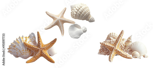 3D rendering of a starfish, conch shell, and seashell isolated on a white background,