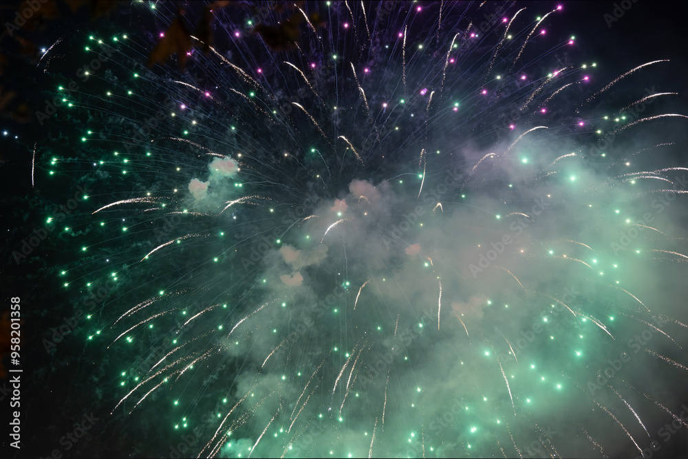 Fototapeta premium fireworks in the night sky