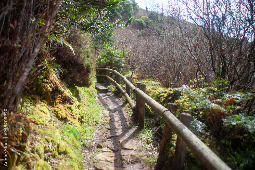 Wooden handrails and steps line the sulfurous steam vents at Furnas do Enxofre, Terceira Island, Azores, Portugal, creating a safe path through this otherworldly volcanic landscape. Wooden handrails and steps line the sulfurous steam vents at Furnas do Enxofre, Terceira Island, Azores, Portugal, creating a safe path through this otherworldly volcanic landscape.