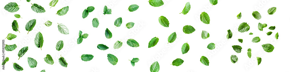Close-up of peppermint leaves isolated on white background. Close-up of peppermint leaves isolated on white background.