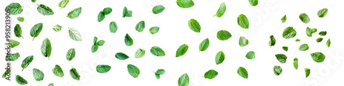 Close-up of peppermint leaves isolated on white background.