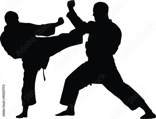 Karate men pose silhouette illustration