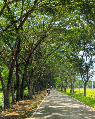 walking in the park