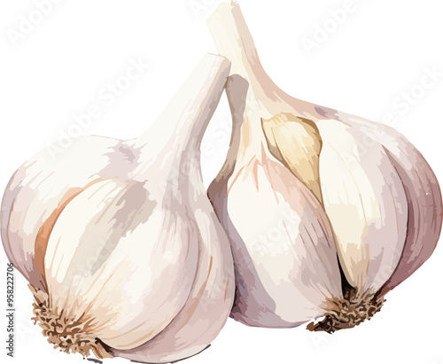 Garlic clipart desing illustration