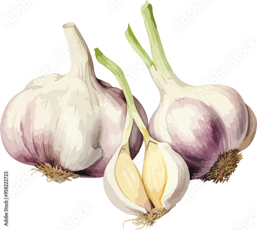 Garlic clipart desing illustration