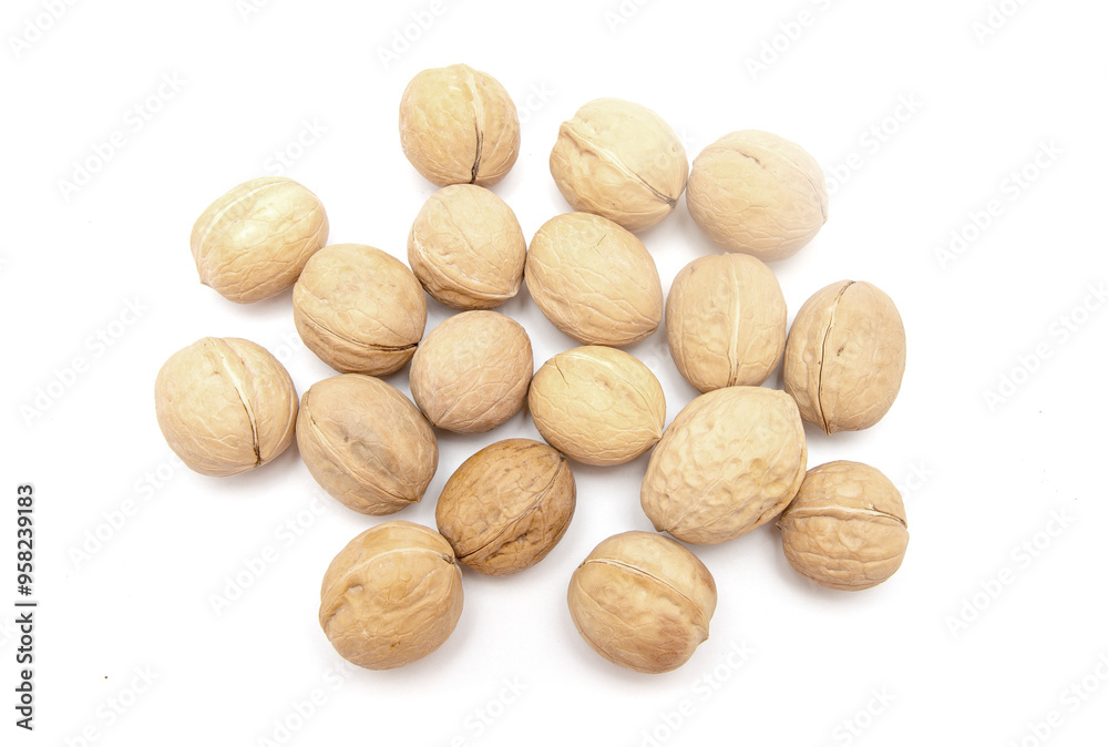 A bunch of walnuts are spread out on a white background A bunch of walnuts are spread out on a white background
