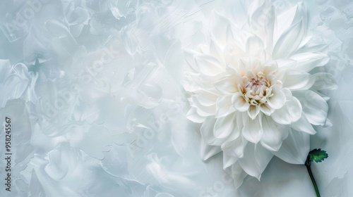 Creamy white flowers, pale patterned background, copy space, wedding concept.
