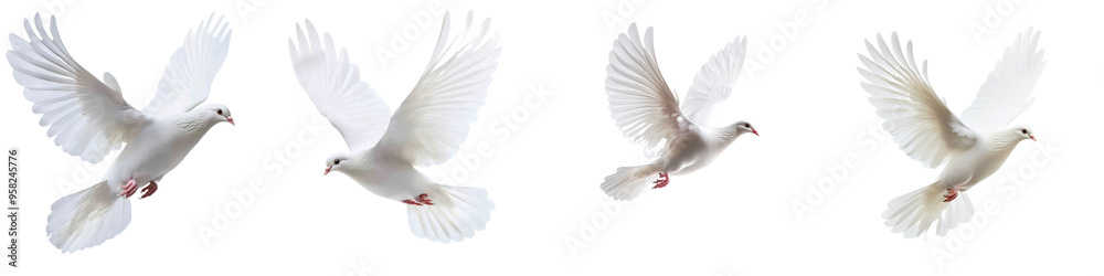 Fototapeta premium An image of a white dove of peace flying over a transparent background
