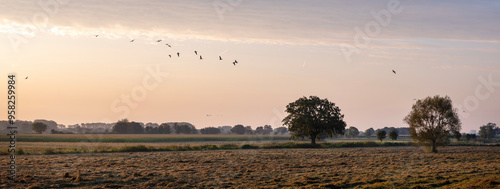 countryside between boxmeer and maashees in noord-brabant at sunrise photo