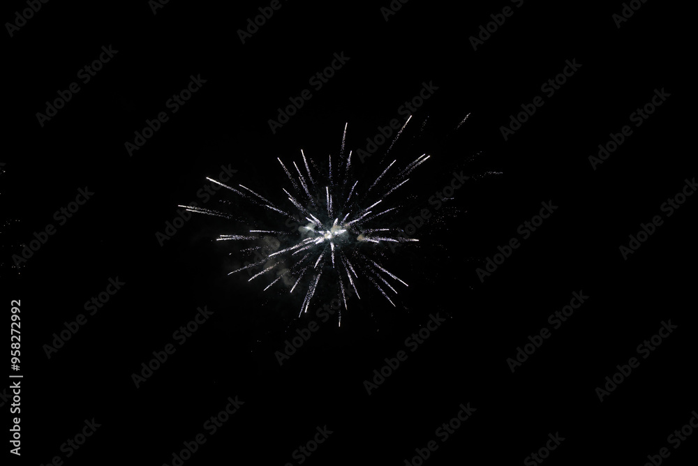 fireworks in the night sky