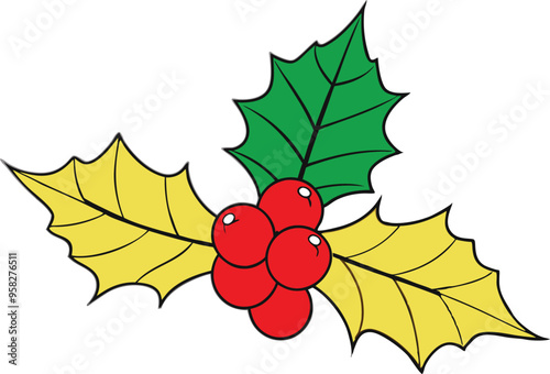 Lush holly leaves with striking red berries perfect for holiday decorations
 photo