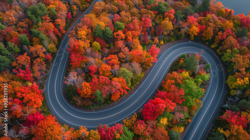 Aerial view of a winding road through vibrant autumn foliage and a calm lake