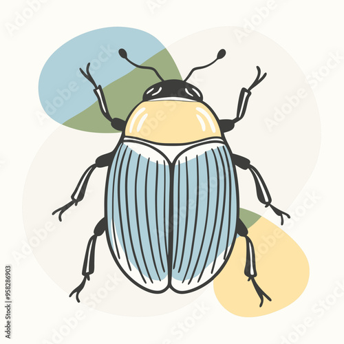 macro vector ilustartion of beetle insect 