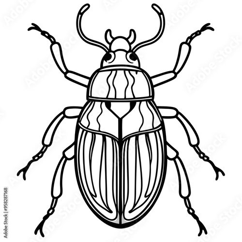 macro vector ilustartion of beetle insect 