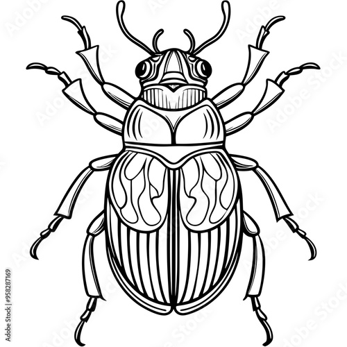 macro vector ilustartion of beetle insect 