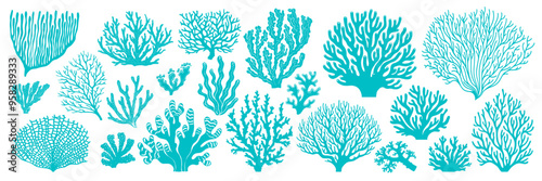 Corals and seaweeds of sea and ocean in silhouettes or imprints, vector icons. Cartoon undersea or underwater plants of coral reef, corals and actinia aquatic flowers for marine pattern or decoration