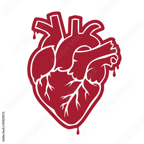 heart in white background, Human Heart Vector, Red Heart, Dill, 14 February 