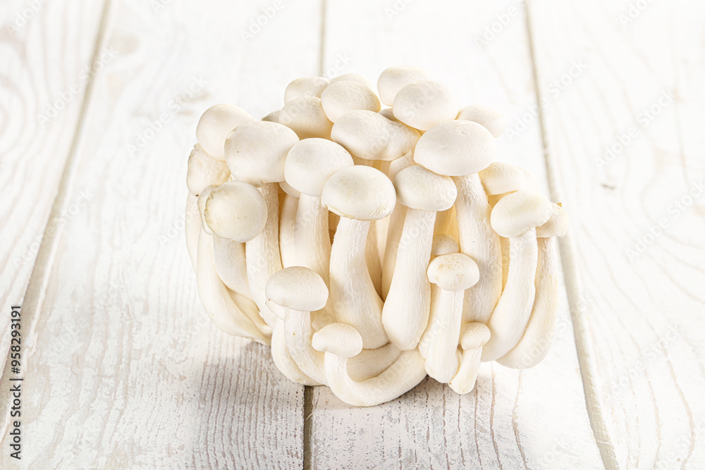 Japanese Shimeji mushroom for cooking Japanese Shimeji mushroom for cooking