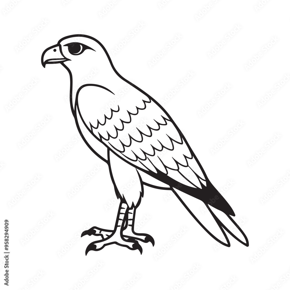 Fototapeta premium Harrier bird line art vector silhouette with white Background