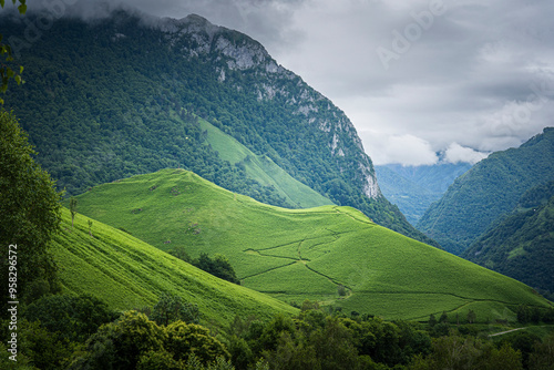 Colline 