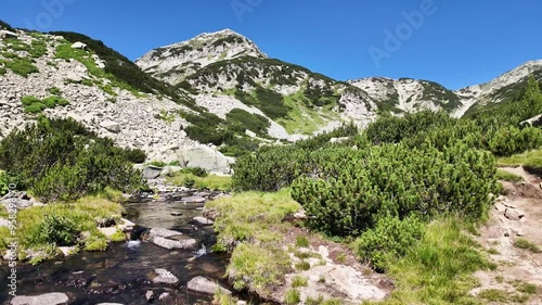 Amazing  Landscape near Banderitsa River at Pirin Mountain, Bulgaria photo