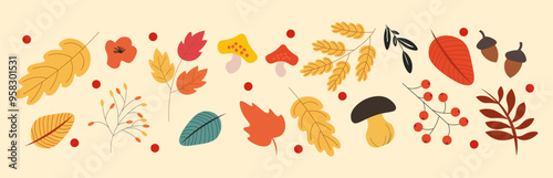 Set of illustrations of autumn decorations and frames. Seasonal elements for design. Hand drawn Maple leaf, fly agaric mushroom, acorn, rosehip. Fallen leaves. Botanical plant floral background.