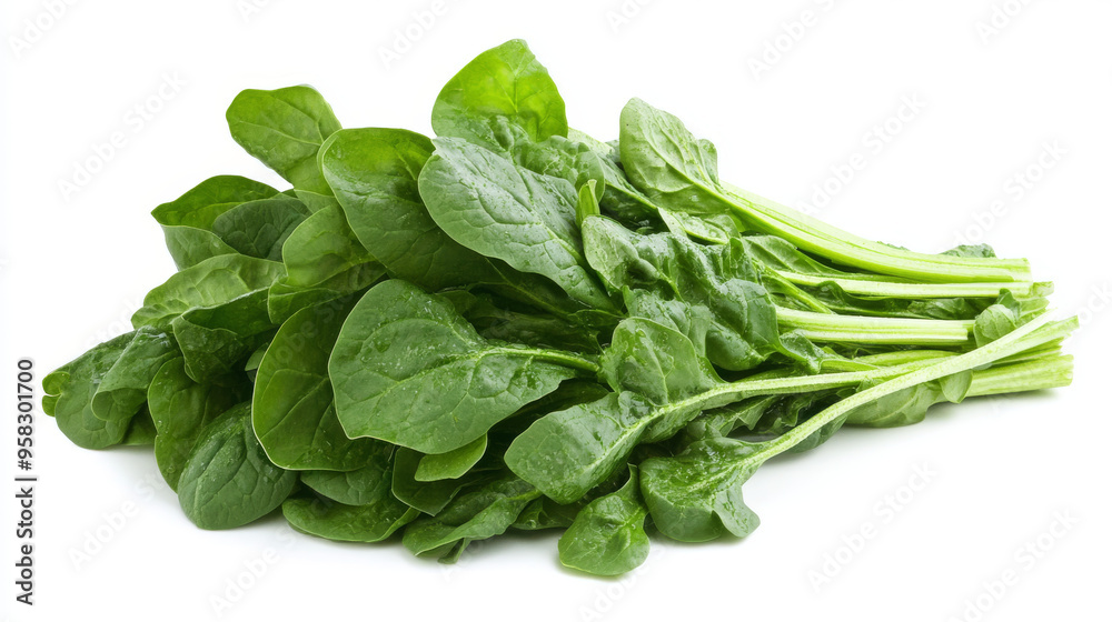 A bunch of bright green spinach leaves are neatly piled together against a white background. A bunch of bright green spinach leaves are neatly piled together against a white background.