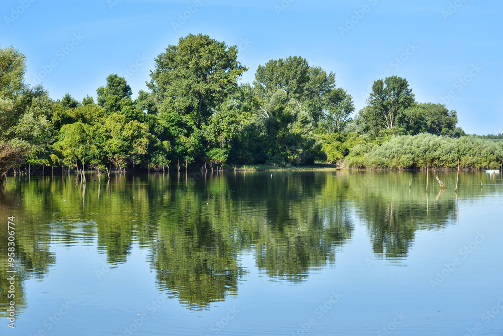 Beautiful river backwater, known as Sodros in Novi Sad, Serbia, in the summer. Green and lush vegetation with reflection on the water surface. Scene of unspoiled nature. Beautiful river backwater, known as Sodros in Novi Sad, Serbia, in the summer. Green and lush vegetation with reflection on the water surface. Scene of unspoiled nature.