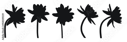 Silhouette of water lily, water lilies, top view