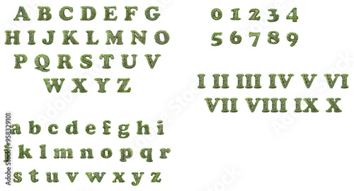 Alphabet and numbers in Boxwood with small flowers