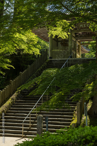 Obraz na płótnie 日本 三重県伊勢市朝熊町岳にある金剛證寺の仁王門 w salonie