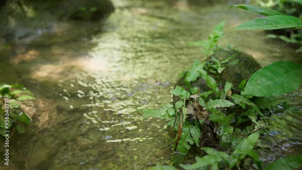mountain stream mountain stream