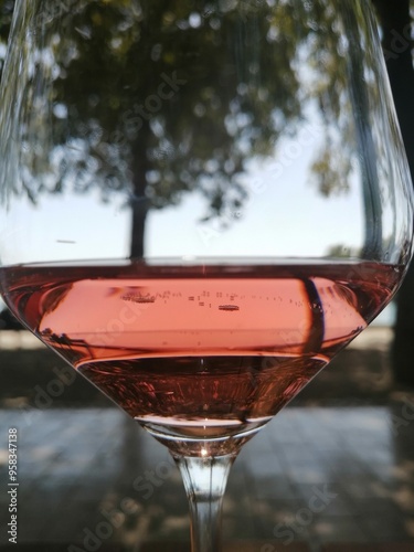 Looking through a glass of Hungarian rose wine photo