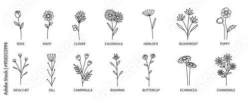 Flower icon. Flower icons set. Line art style. Vector