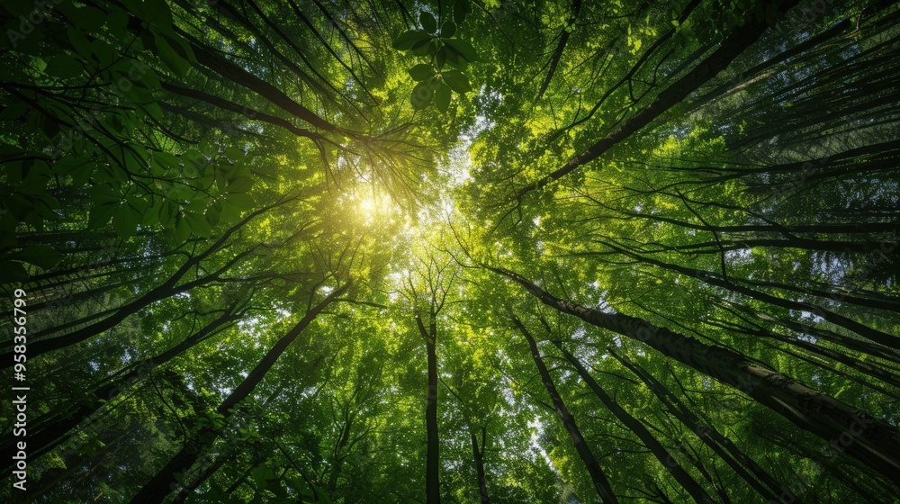 Reflections on the awe-inspiring power and resilience of nature