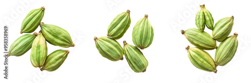 Wallpaper Mural set of A green Cardamom fruits isolated on a transparent background Torontodigital.ca