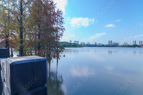 Guangzhou Haizhu Lake Park Lakes and Groves of Larch Trees photo