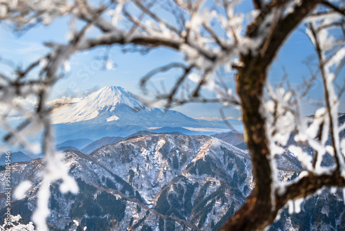 厳冬期の大山山頂の絶景　樹氷の間から見る富士山と丹沢山地【神奈川県】　
A superb view of the summit of Mt. Oyama in the middle of winter. Mt. Fuji and Mt. Tanzawa seen through rime. - Kanagawa, Japan photo