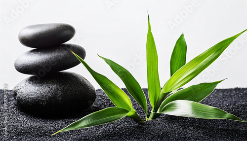 Natural Harmony: Bamboo Leaves and Zen Stones on Black Sand - Minimalist Japanese Garden Background