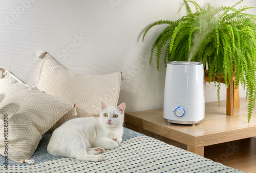 White cat relaxing on sofa. Cozy home interior with pet portrait. Lifestyle home daily life with pets in living room