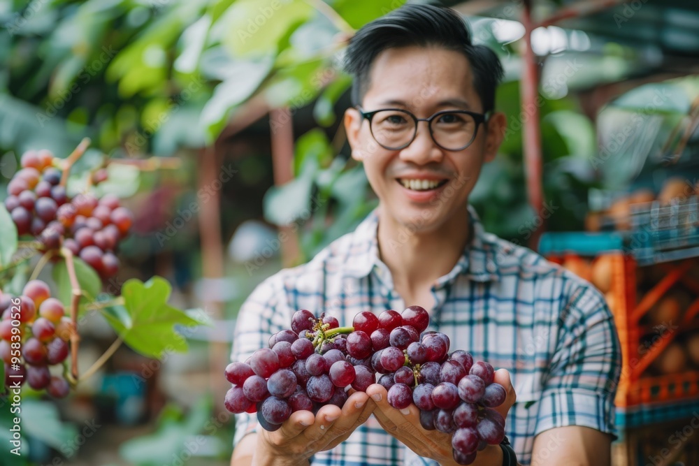 Smiling man holding fresh red grapes in vineyard Smiling man holding fresh red grapes in vineyard