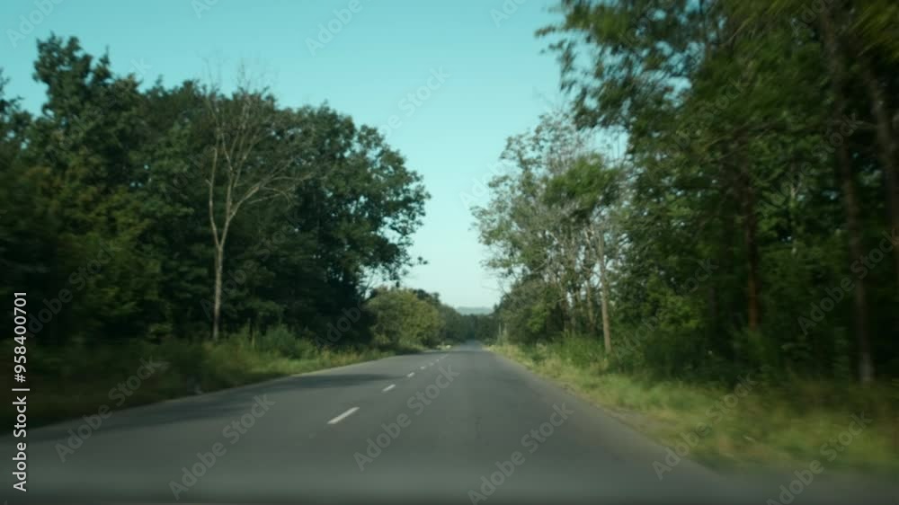 POV view of car driving on road near summer or autumn forest at warm sunny day, on way to adventures and new experience, lifestyle on road of active young people. Travel and adventure concept POV view of car driving on road near summer or autumn forest at warm sunny day, on way to adventures and new experience, lifestyle on road of active young people. Travel and adventure concept