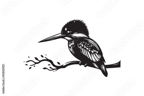 King Fisher  vector art and illustration photo